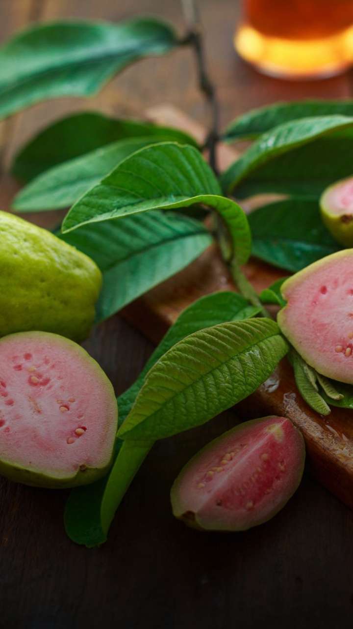 Benefits Of Guava Leaf Tea For Weight Loss!