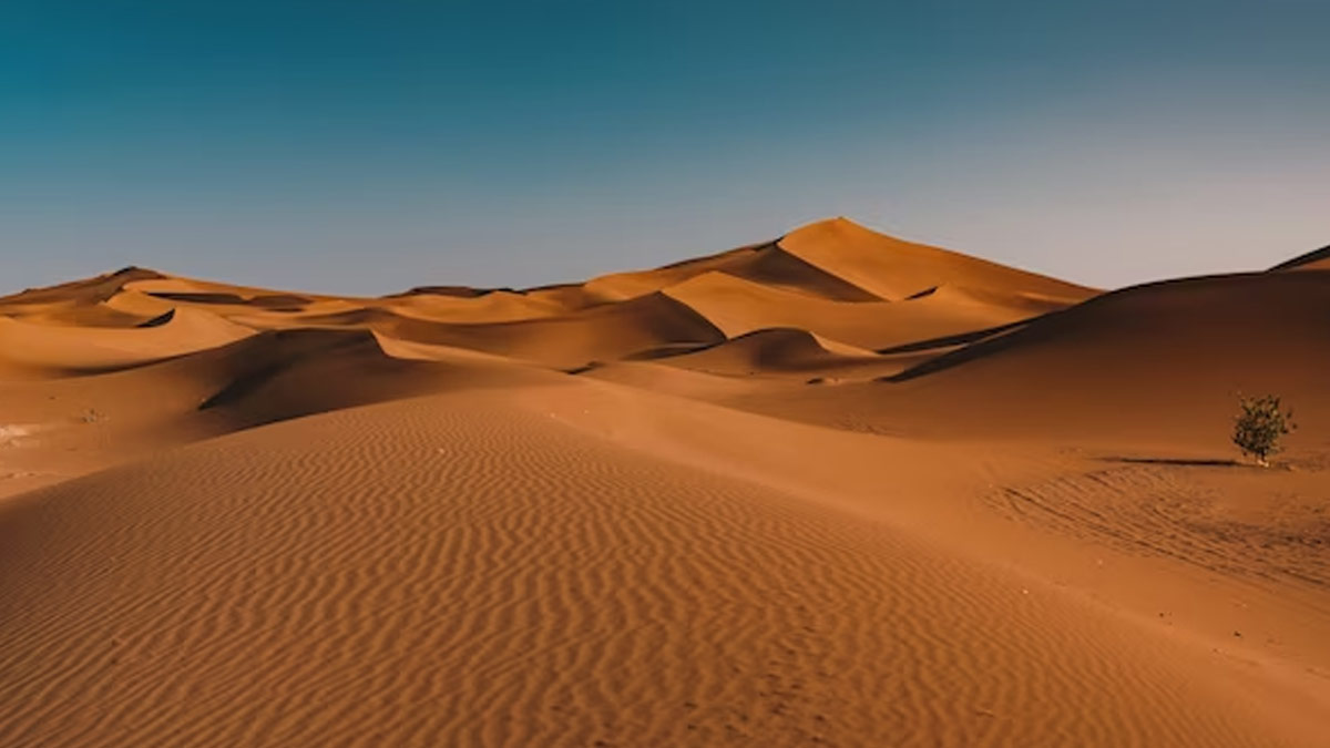 From Sahara To Atacama: 5 Breathtaking Deserts To Explore Around The World