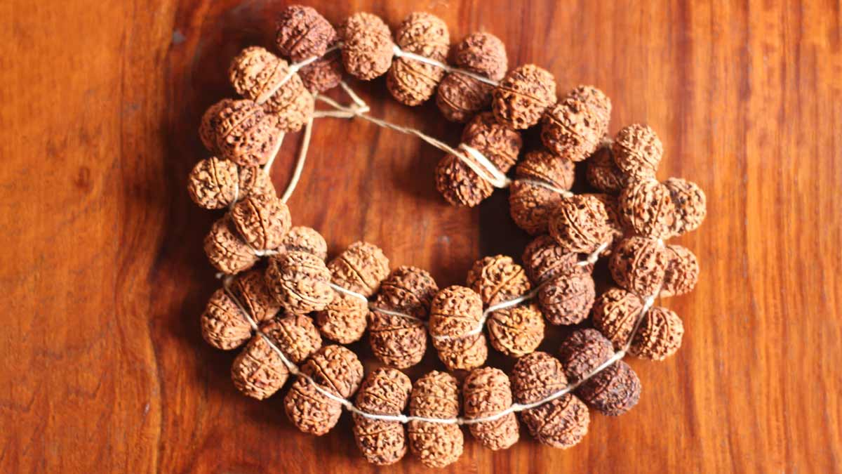 Sagittarius Zodiac Sign: Which Rudraksha You Should Wear For Longevity And Trouble-Free Life
