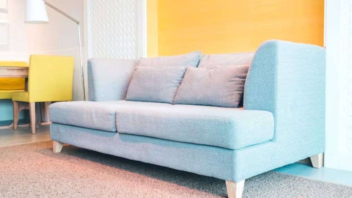 Best Sofa Cum Bed: Transform The Interior Of Your Living Room